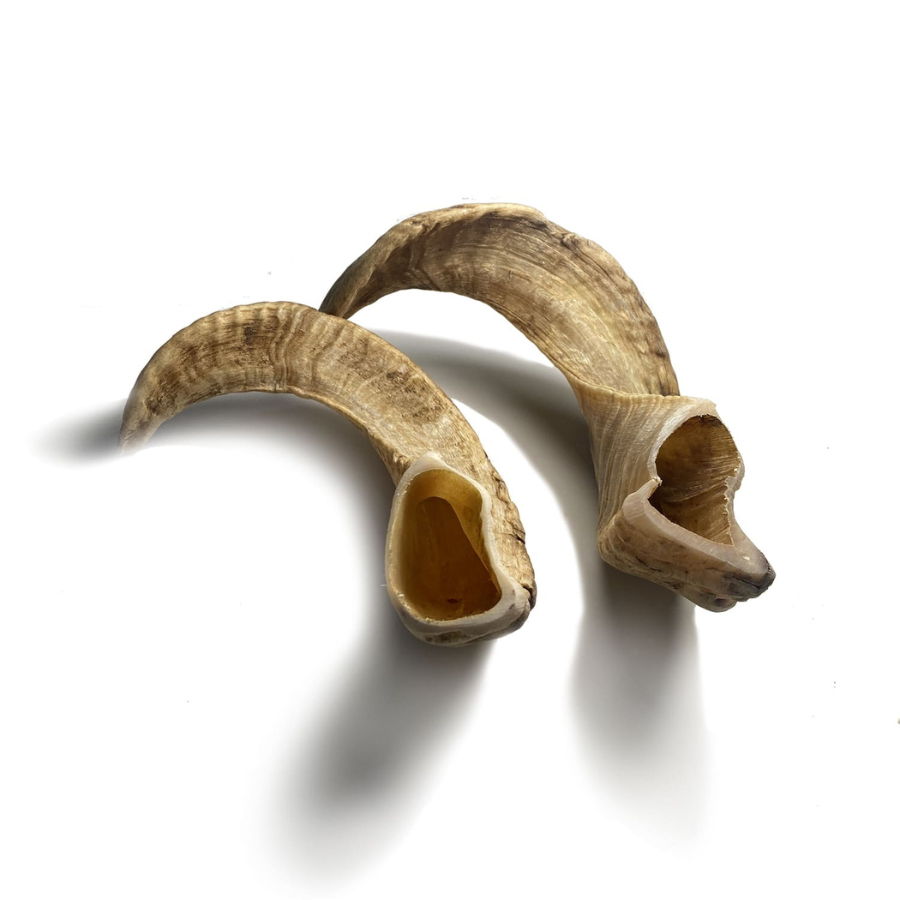 Mordedor de cuerno de carnero para perros 100% natural, , large Imagen numero 2